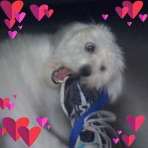 Meet your Posher, Wendy